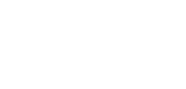 Sien Consulting